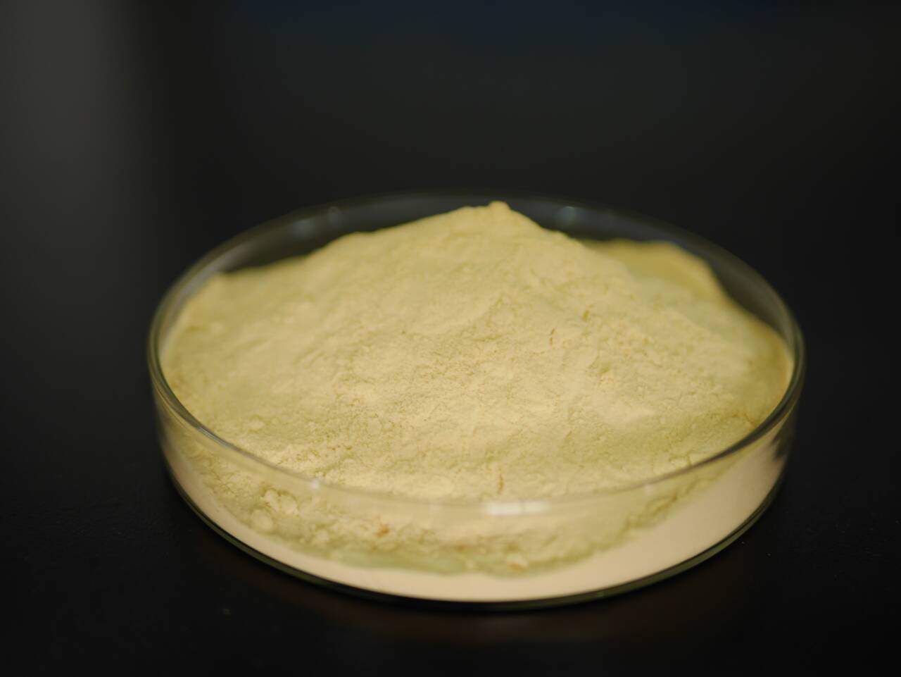 <strong>Hydrolyzed Vegetable Protein </strong>