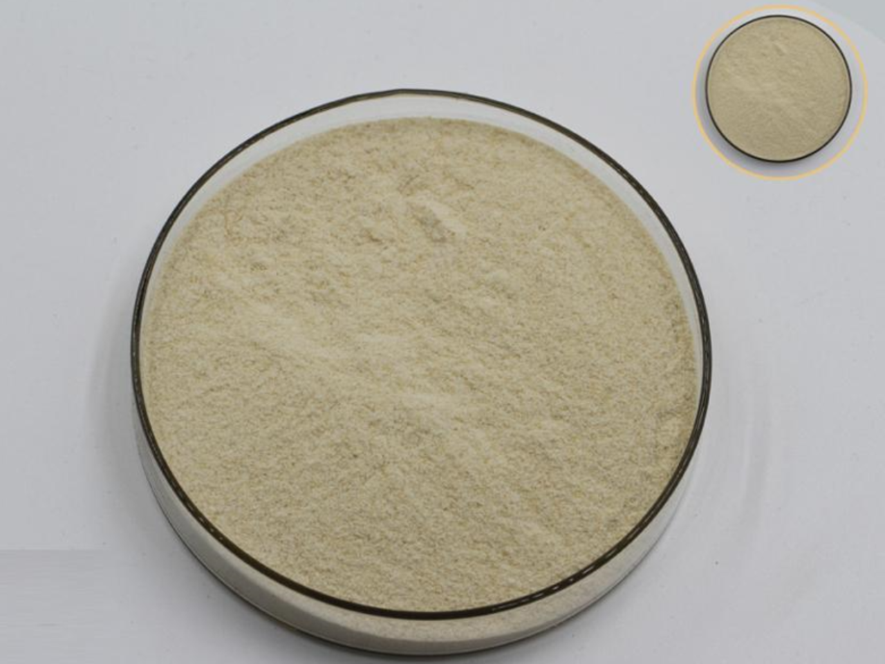<strong>Xanthan Gum </strong>